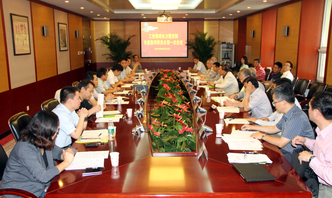 工業(yè)領(lǐng)域電力需求側(cè)管理專家指導委員會第一次