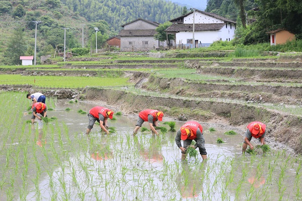 小山村有了大變化——國網樂安縣供電公司精準扶貧工作側記