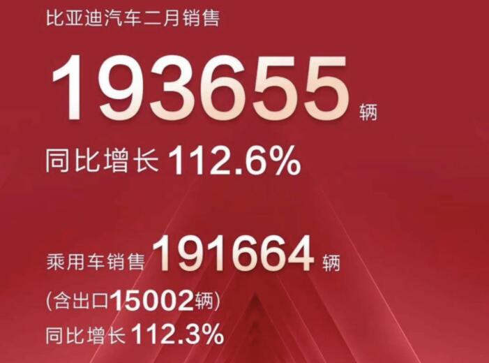 2月新能源車企成績(jī)單出爐，比亞迪一騎絕塵