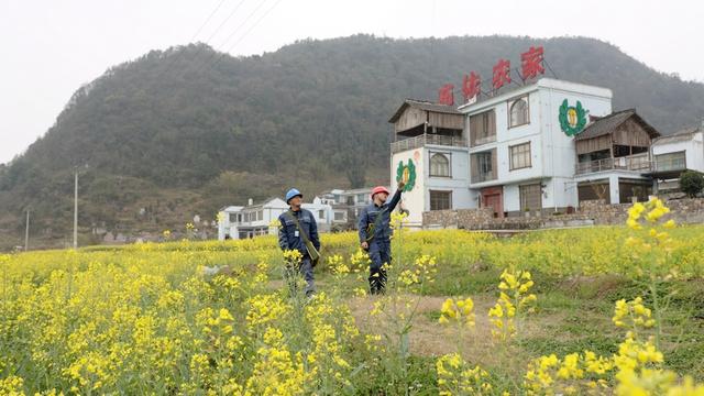 貴州貞豐供電局優(yōu)質服務助力智慧農業(yè)春耕備耕