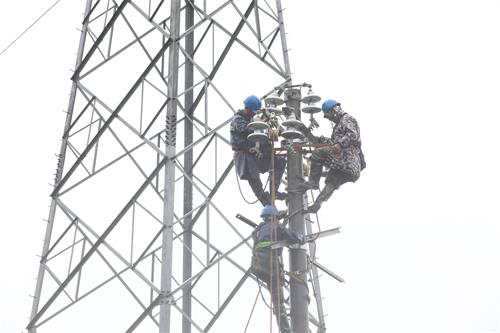 國網(wǎng)壽寧縣供電公司頂風(fēng)冒雨搶修 保障居民正常用電