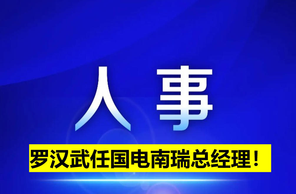 羅漢武任國(guó)電南瑞總經(jīng)理！