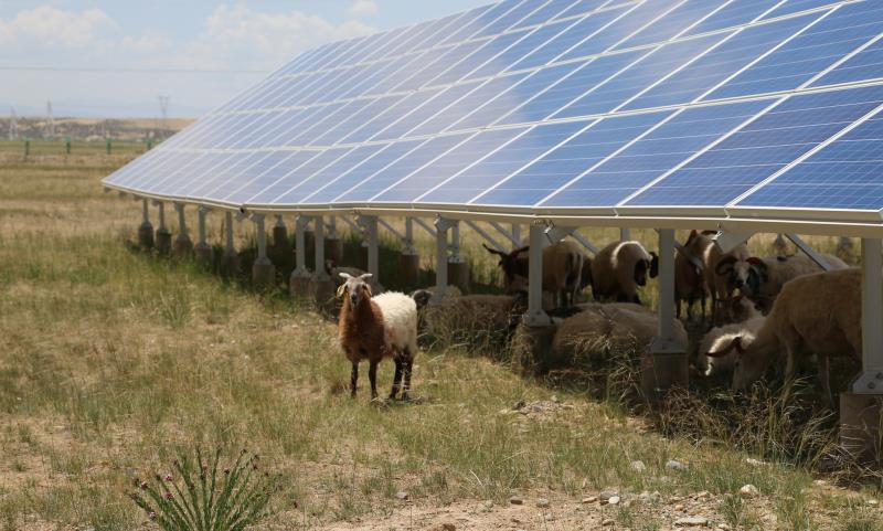 解秘全球最大太陽能發(fā)電綜合技術實證試驗基地